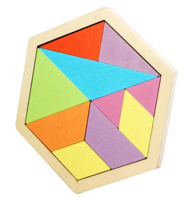 China Educational Toys Eco-Friendly Children's Geometric Intelligence Training Material High Quality Ten Puzzles for sale