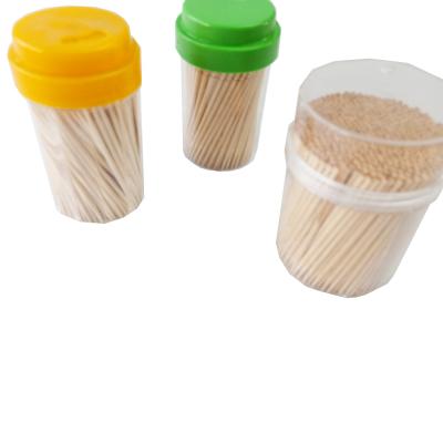 China Free Sample Factory Price Disposable Best 2.5 3.1 Inch 3.9 Inch White Birch Wood Toothpicks for sale