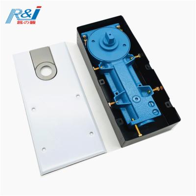 China Contemporary Door Closer Spring / Iron Body Stainless Steel Cover Glass Door Floor for sale