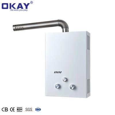 China Hotel Factory Price Wall Mounted Forced Exhausted Instant Water Heater Draft Gas Water Heater For Shower for sale