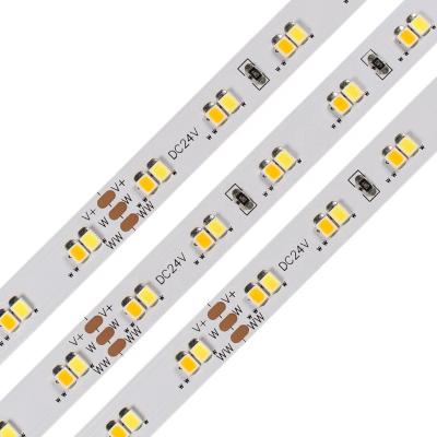 China High Brightness 24V 10mm SMD2835 112LEDs Warm White + White TDC Desktop Dual Color LED Strip Light for sale