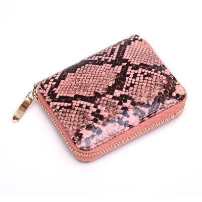 China Fashion Snake Pattern Anti-theft Girls Coin Purse Small Short Zipper Wallet Case for sale