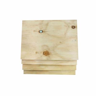 China Contemporary 9mm/12mm pine plywood 1/2pine plywood pine plywood for sale