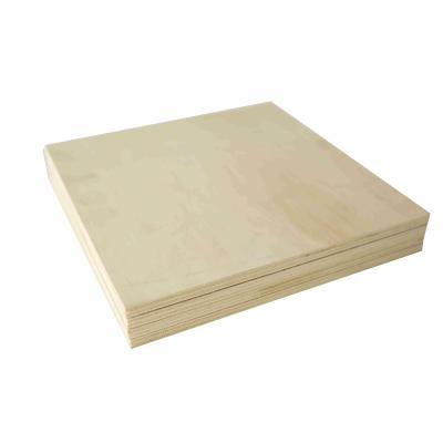 China Furniture Decoration Waterproof Hardwood Plywood Panel Price 18mm 4x8 for sale