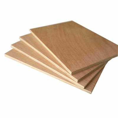 China Furniture Decoration Greenland 6x8 Okoume Veneer Pallet Plywood For Commercial Use for sale