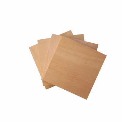 China Furniture Decoration Premium Popular Greenland 24mm Decorative Plywood for sale