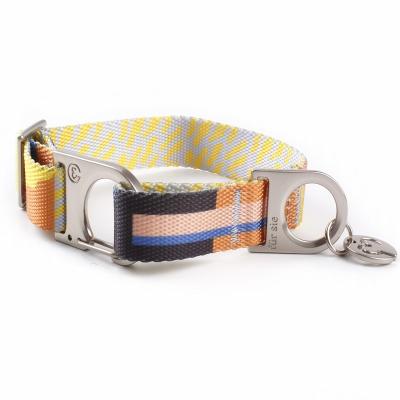 China OEM Laser Logo Metal Buckle Workable Custom Dog Collar With Fashion Zinc Alloy Accessories Tag for sale