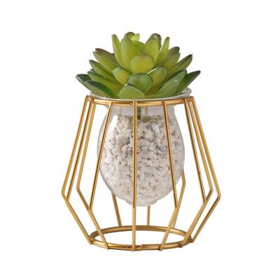 China Home Decoration Vases Gold Plant Vase Iron Vase Home Transparent Hydroponic Glass Vase Decoration For Small Flower Living Room Decoration for sale