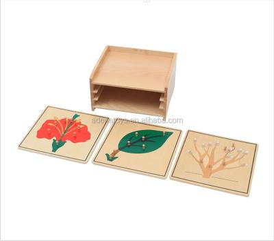 China China Plywood+ Beech Wood Montessori Materials Montessori Toys Botanical Puzzle Cabinet Educational Toys B001 For Children for sale