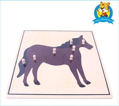 China Educational Montessori Materials Toy: Puzzle Animal Cabinet with 5 Animal Puzzles Other Wooden Educational Children Play for sale