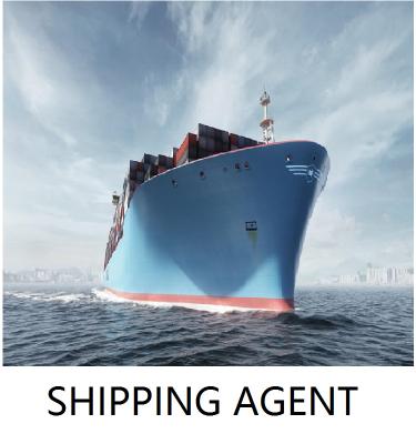 China Shenzhen Shanghai Tianjin China Shipping Agent Freight Forwarder Sea Freight To Paraguay ASUNCION Logistics Shipping To Paraguay for sale