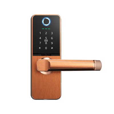 China 2021 Zinc Alloy Newest Fingerprint Door Lock Fingerprint Lock USB Fingerprint Recognition Lock for sale