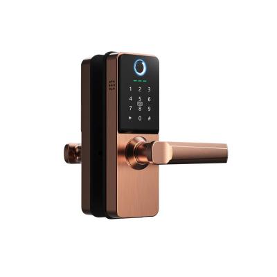 China New Design Zinc Alloy Waterproof Smart Keypad Fingerprint Smart Door Lock For Doors for sale