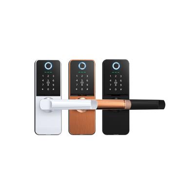 China Newest Hot Selling Digital Fingerprint Electronic Keyless Waterproof Keypad Zinc Alloy Smart Door Lock for sale