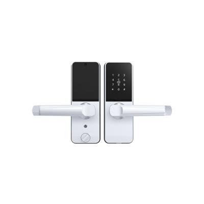 China Keyless Aluminum Lock Zinc Alloy Aluminum Keyless Password Digital Security Smart Home Smart Door Lock for sale