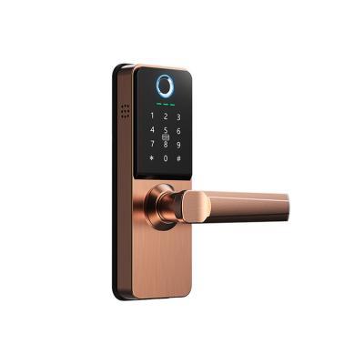 China High Level Zinc Alloy Keyless Biometric Electric Door Lock Digital Fingerprint Security Smart Card Door Lock for sale