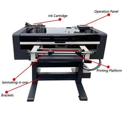 China 30cm Uv Roll Dtf Printer For Sticker Printing With Dual Xp600 Head  For Wooden /Glass Surface for sale