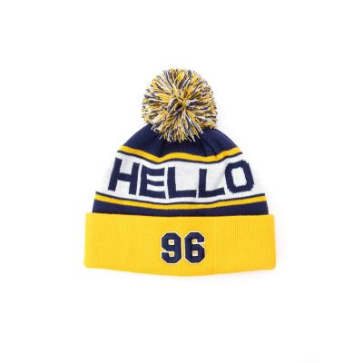 China breathable & 2022 Wholesale Women's Winter Knitted Hat Newly Designed Beanie Knit Striped Knit Pom Pom Beanie Warm Fashion Raincoats for sale