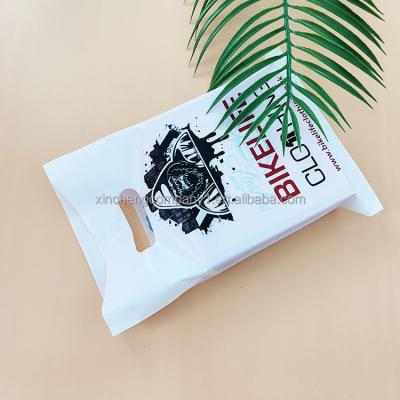 China Custom Plastic Packaging Bag Custom Size Color Logo Printing Moisture Proof Plastic Bag Hot Selling Custom Plastic Bag for sale