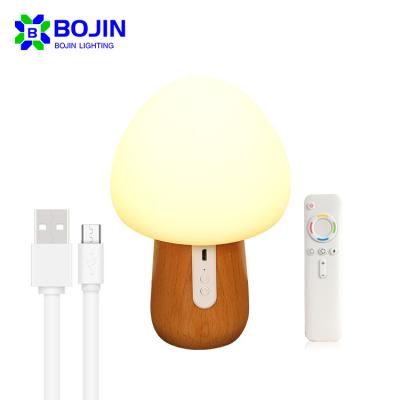 China Modern Creative Bedside Cartoon Children Bedroom Small Gift 1Watt USB Charge Atmosphere LED Night Light for sale