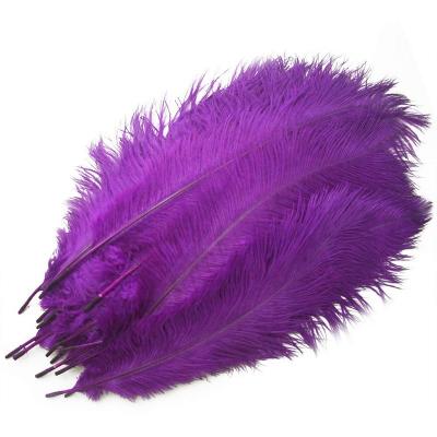 China Decorations Purple Ostrich Feathers 12-14 inches (30-35 cm) Bulk for Gatsby Wedding Party Centerpieces Decorations for sale