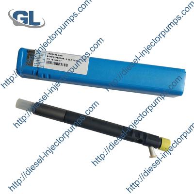 China Delphi Diesel Fuel Injector EJBR04901D 28280600 para TATA 278901160101 en venta