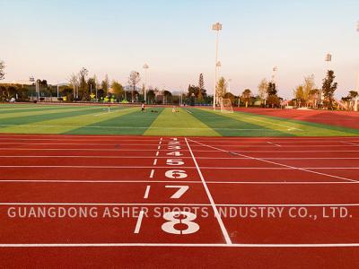 Cina 13mm Thickness Tartan Running Track With Low Maintenance Customized in vendita