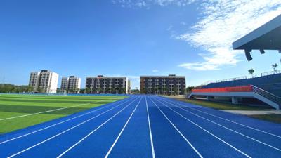 China High Resistance Tartan Running Track Made Of Rubber Material Help Constructions Te koop