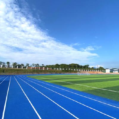 China Red and Blue Sports Track Rubber Interlocking Running Track for sale