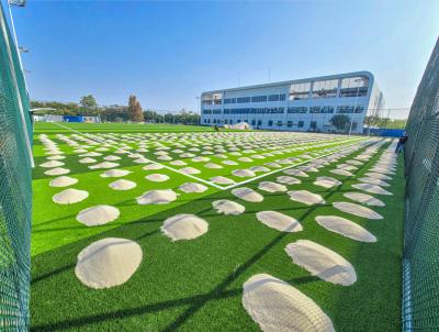 China Grama de futebol artificial resistente a doenças Dtex 8000-15000 Revestimento de borracha PP Net SBR à venda