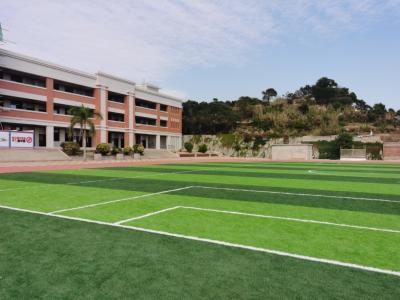 China 50mm Stem Shape Artificial Football Pitches With Effective Drainage System And Rubber Granules Infill for sale