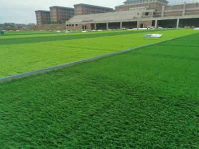 Chine Technique de tissage avancée Champ d'herbe synthétique avec fil résistant aux maladies à vendre