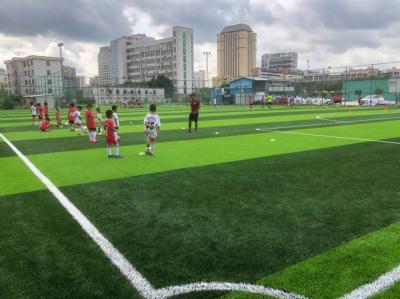 China 50mm Stem Shape Artificial Football Pitches With Disease Resistance for sale