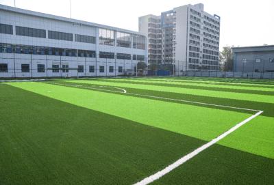 China China Stem Shape Artificial Football Pitches With 16.5 Stitches For Efficient Drainage System for sale