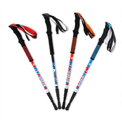 China 2019 EVA Good Quality And Competitive All Kinds Of Carbon Trekking Pole Outdoor Walking Hiking Stick for sale