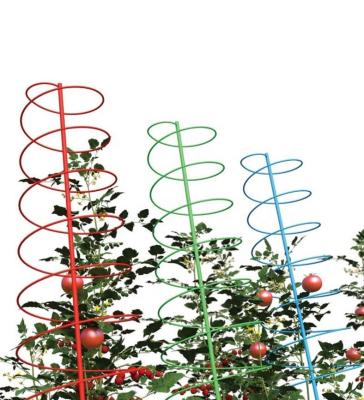 China Metal Plant Support Plant Sale Garden Supplies Plant Stick Spiral Tomato Spiral Line Stake for sale