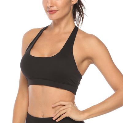 China Breathable Plus Size Sports Bra Women Sexy Backless Medium Support Yoga Sports Bra With Removable Cups for sale