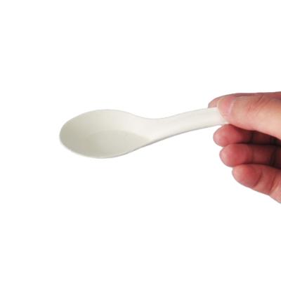 China 6 Inch China Manufacturer Disposable Compostable Sugarcane Chinese Soup Spoon Biodegratable Disposable for sale