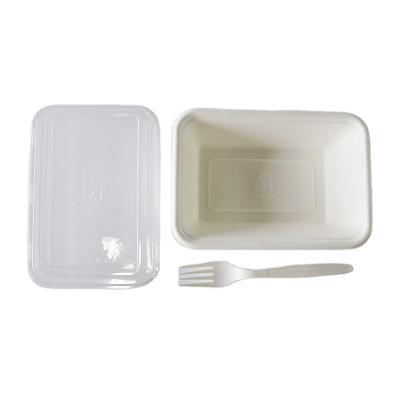 China Biodegratable 750ml Disposable Container Compostable Microwavable Sugarcane Food Rectangle Takeout Box For Fast Food for sale