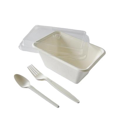 China Disposable Biodegratable 1000ml Sugarcane Biodegradable Compostable Takeout Box Disposable Food Container For Restaurant Home Camping for sale