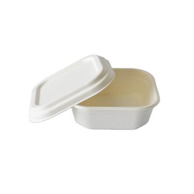 China Biodegratable Disposable Compostable Fast Food Packing Case Square Sugarcane Takeout Box and Takeout Box for Salad for sale