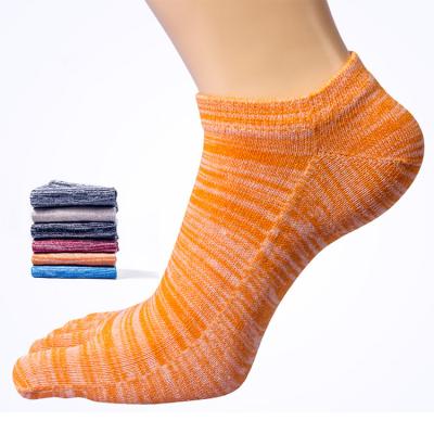 China Summer QUICK DRY 5 Cute Invisible Toe Socks Girls Women Cotton OEM for sale