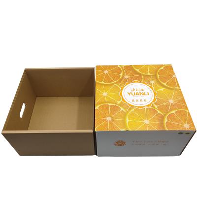 China Hot Selling Corrugated Cardboard Recyclable Customized Printing High Quality Fruit Packaging Box for sale