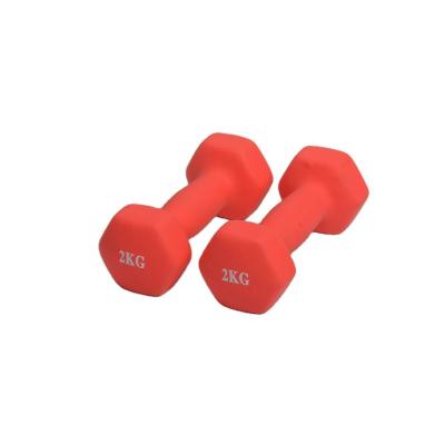 China Universal Vinyl Coated Dumbbell All Kinds of Colors Home Fitness Dumbbell for sale