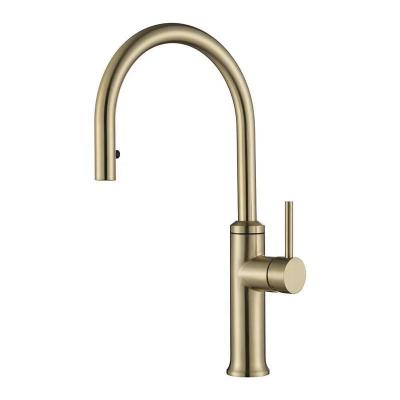 China Pull Out New Design Spray Single Handle Gold Kitchen Mixer Pull Down Sprayer Kitchen Faucet for sale