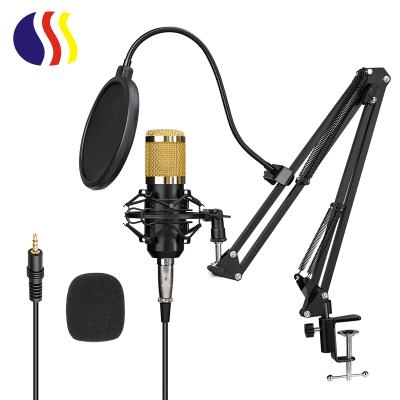 China Microphone BOM 800 Condenser MIC Sound Recording PC Studio Vocal Microphone Cable Live Microphone for sale