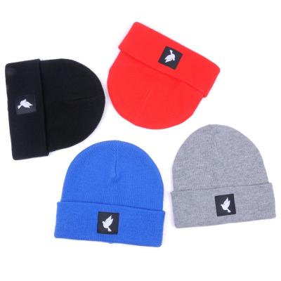 China COMMON High Quality Winter Women Beanie Hats Multicolor Warm Unisex Beanie Hat for sale