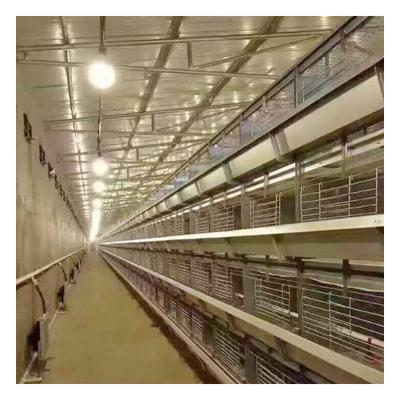 China Easily install professional production of automated animal production chicken layer cage for sale