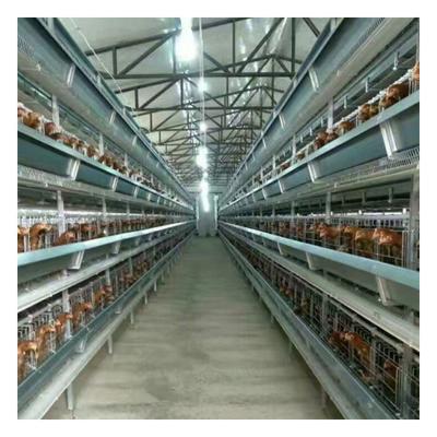 China Easily Install H Type Automatic Hens Layer Cage Feeding Equipment For Poultry Farms Chicken Breeding Cage for sale