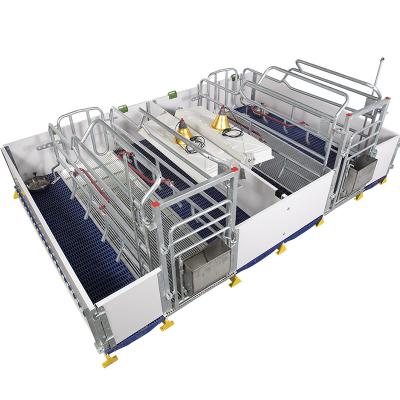 China Durable Pig Sow Delivery Farrowing Bed Poultry Farming Equipment European Style Sow Gestation Bed for sale